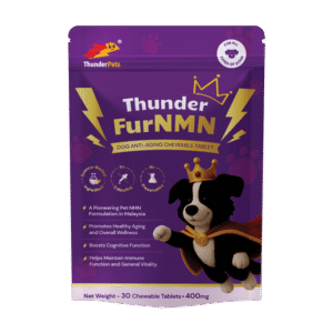 <h6 class="product-name">Longevity & Vitality</h6><h2 class="product-name">Thunder FurNMN</h2>