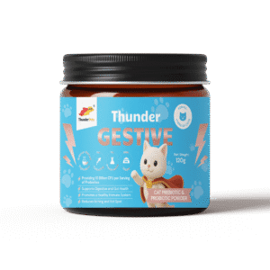 <h6 class="product-name">Healthy Tummy, Happy Kitty!</h6><h2 class="product-name">Thunder Gestive</h2>