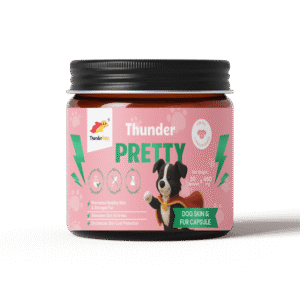 <h6 class="product-name">For Fur That Flows & Skin That Glows!</h6><h2 class="product-name">Thunder Pretty</h2>